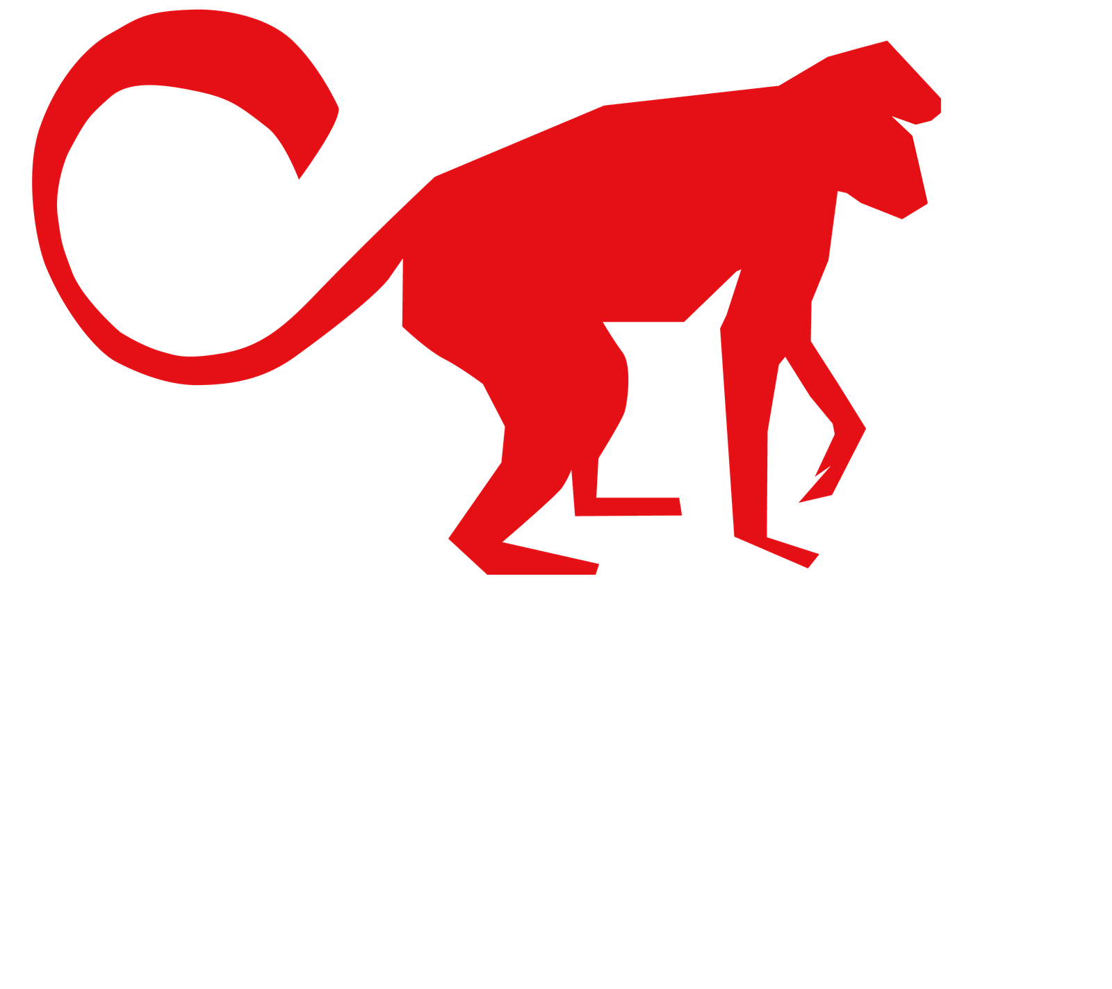 MAKO Producciones